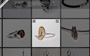CarolienDol_zoom.jpg